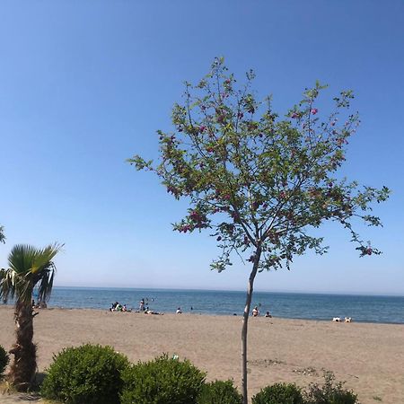 Hotel Mario, Shëngjin Dış mekan fotoğraf