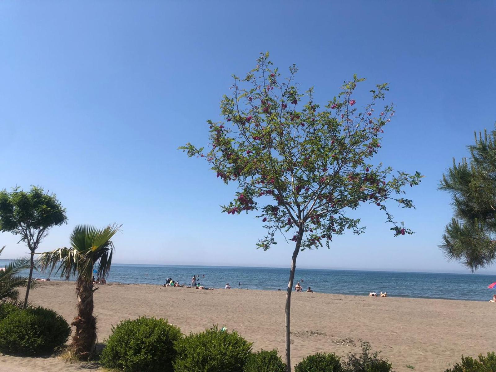 Hotel Mario, Shëngjin Dış mekan fotoğraf